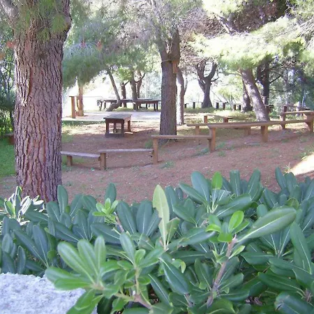 Trilocale 31 La Giungla Falerna